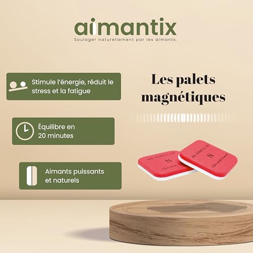 Aimantix Palets Magnétiques 3800 Gauss Lot de 2 Énergie