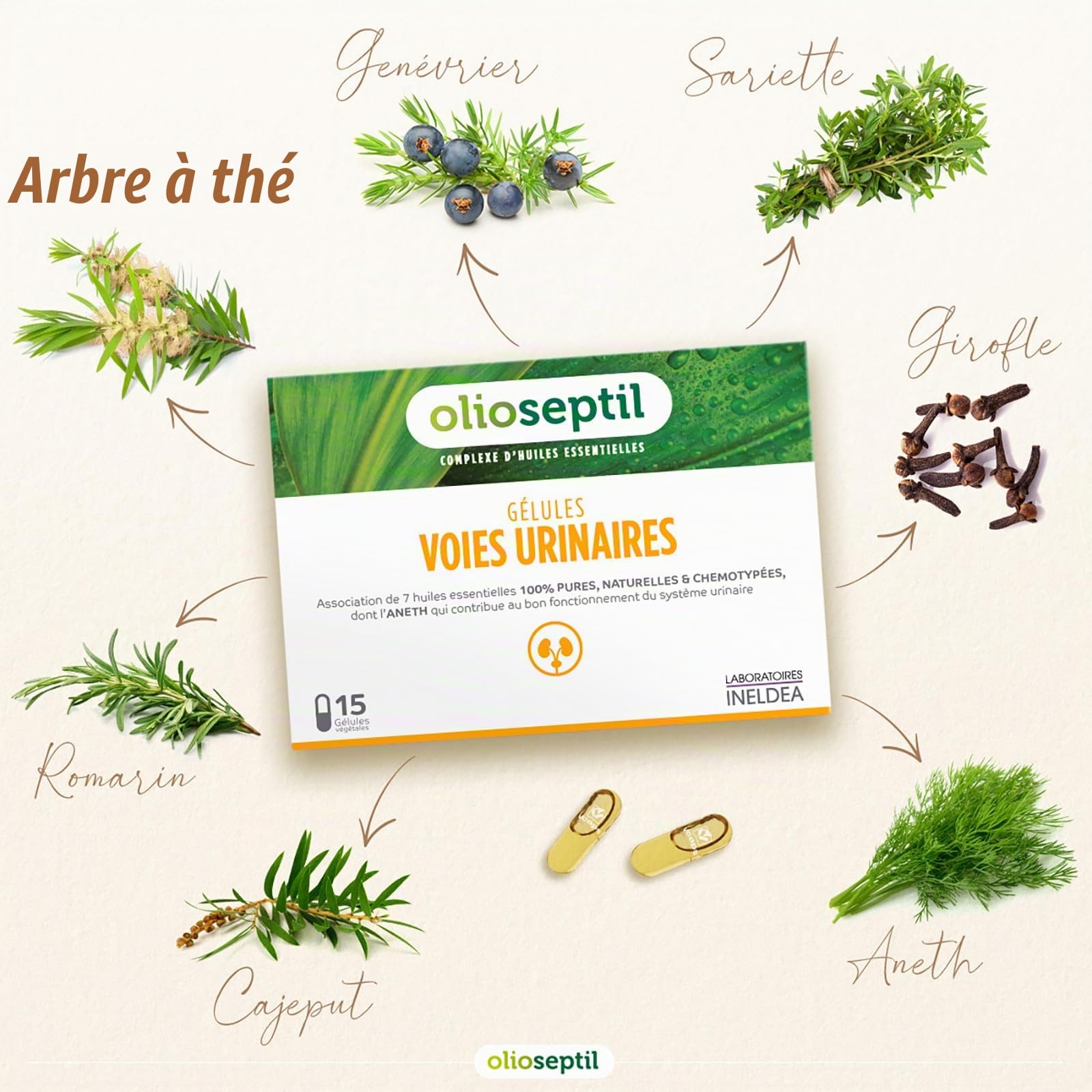 Olioseptil Voies Urinaires Gélules Lot de 2 Aneth