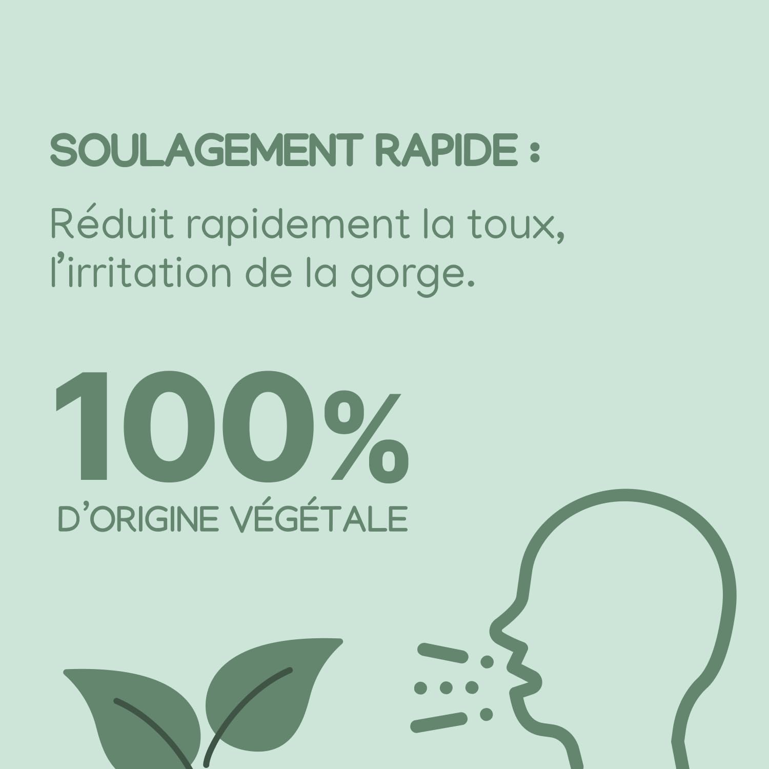 Hexaphyto Spray Hexaphyto spray toux miel 30 ml lot de 1