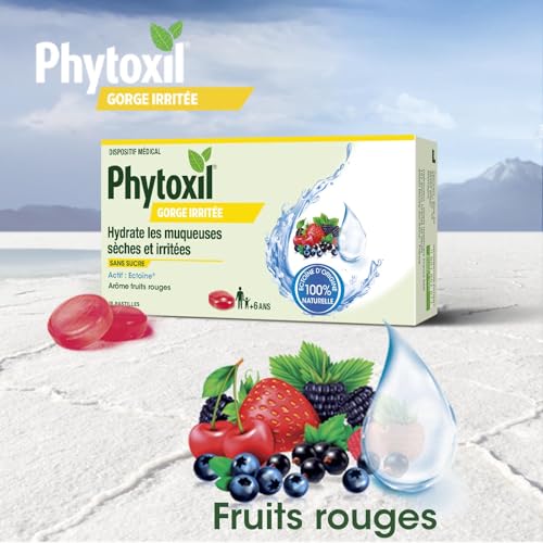 Phytoxil Gamme Gorge Pastilles gorge irritée fruits rouges 16