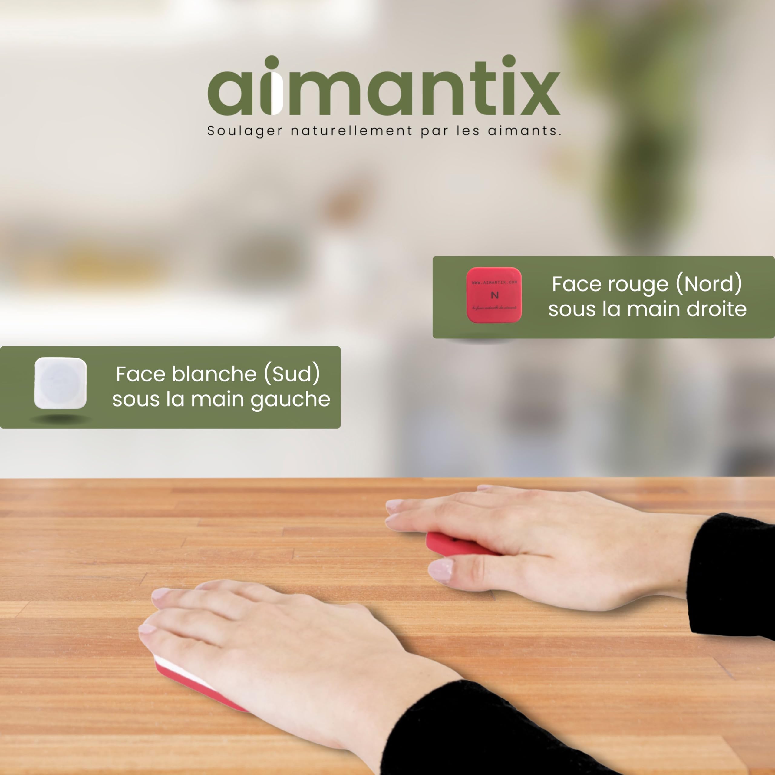 Aimantix Palets Magnétiques 3800 Gauss Lot de 2 Énergie