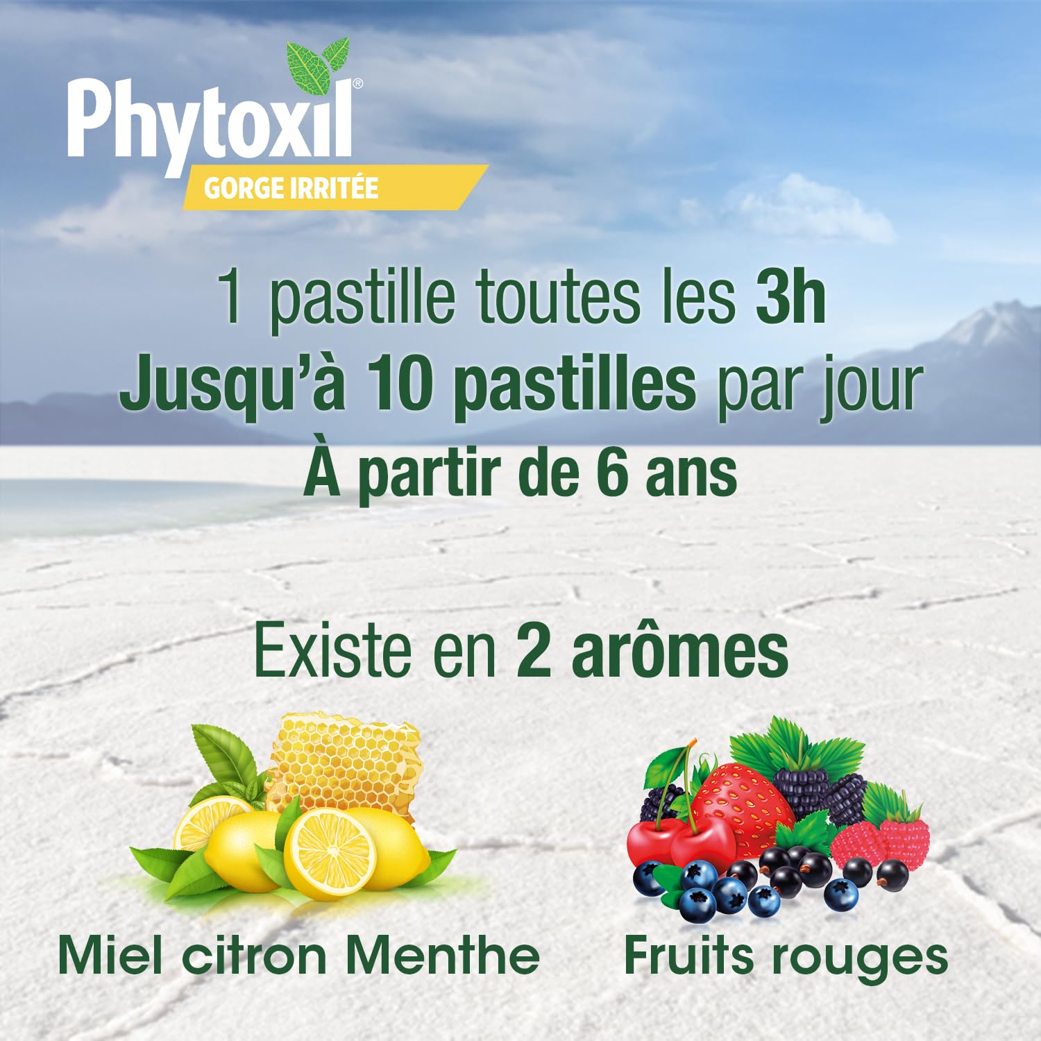 Phytoxil Gamme Gorge pastilles 16 citron miel menthe
