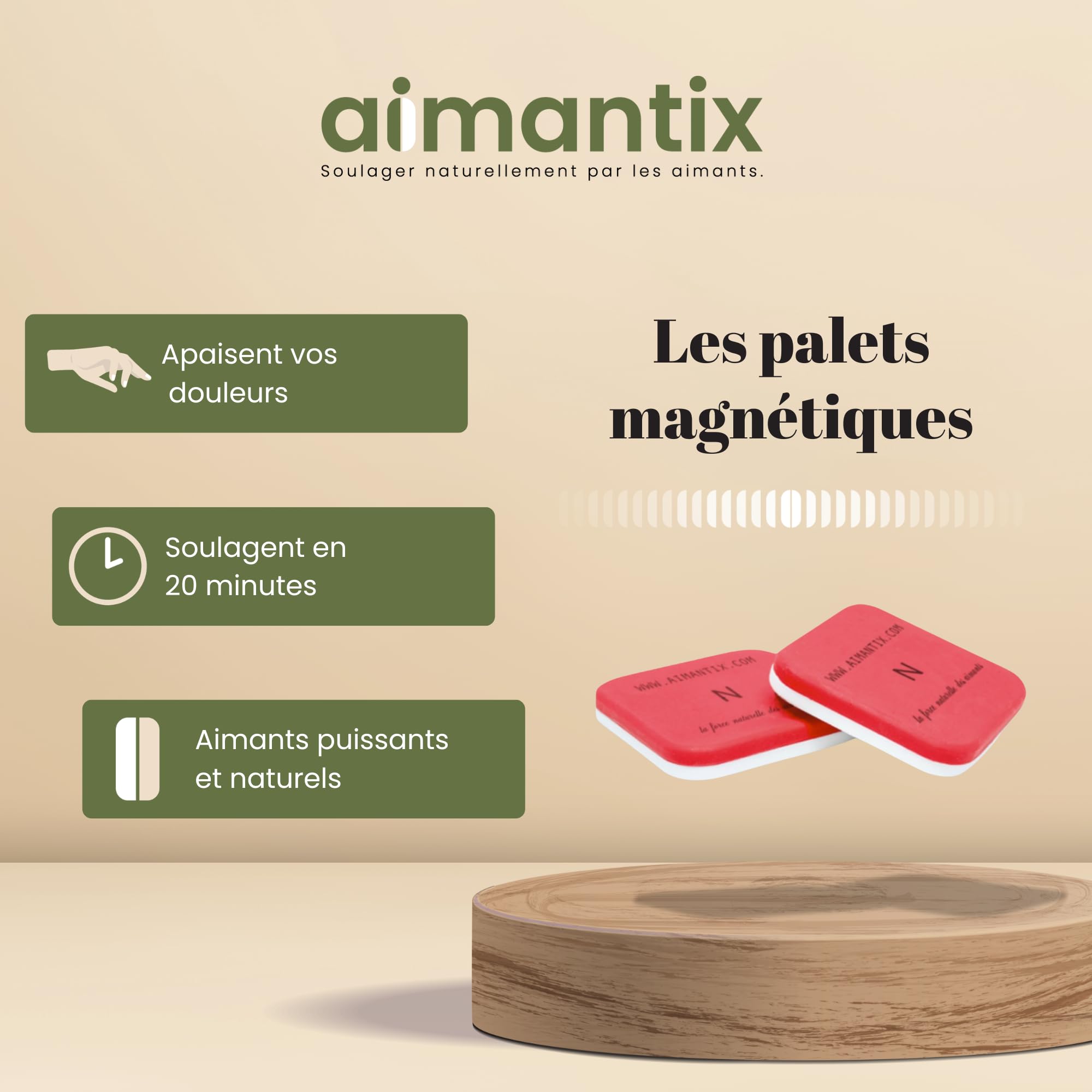Aimantix Palets Magnétiques avec Pochette Réglable Paire